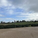 Photo taken by Amy W