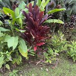 Photo taken by Morton A