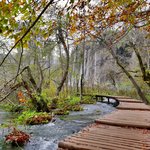 Photo taken by Hilbert L