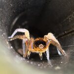 Photo taken by Marc A