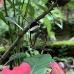 Photo taken by Karen P