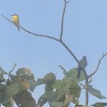 Photo taken by Breann B