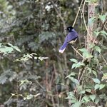 Photo taken by Emily H