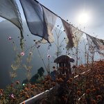 Photo taken by Amanda D