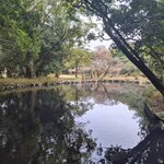 Photo taken by Zulhelmi R