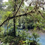 Photo taken by Mathew S