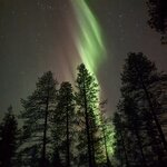 Photo taken by Sara N