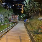 Photo taken by Bincy P