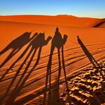 Photo taken by KHEE BOON L