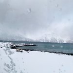 Photo taken by sheena h