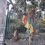 Photo taken by Graham W