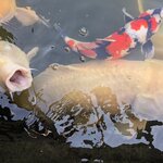 Photo taken by Caroline K