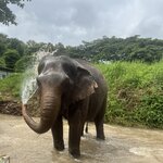 Photo taken by Jose C