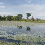 View from our Villa's balcony | Photo taken by Su-Lin T