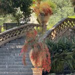 Photo taken by Marcia G