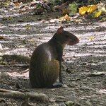 Photo taken by Touraj K