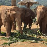 Photo taken by Leslie S