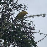 Photo taken by Stephanie A