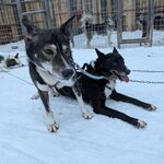 Photo taken by KRISTIN T