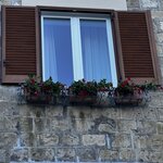 Photo taken by Martha D