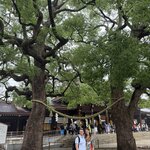 Photo taken by Mallory A