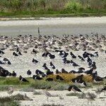 Photo taken by Rand M