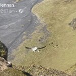 Photo taken by Sue M