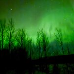 Photo taken by Nikki S