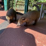 Photo taken by Nicole R