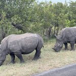 Photo taken by Christopher F