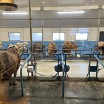 Photo taken by Bob P