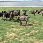 Photo taken by Wendy T