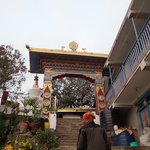 Photo taken by Katherine J