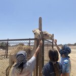 Photo taken by Lisa W