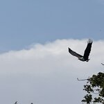 Photo taken by Michael L