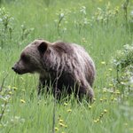 Photo taken by Debbie W