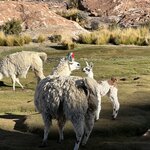 Photo taken by Mai S