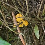 Photo taken by Jim W