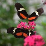 Photo taken by Denise M