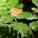 Photo taken by Mandy F