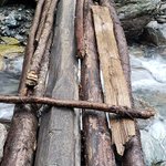 Photo taken by Jill S