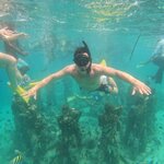 Photo taken by Valerie K