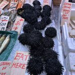 Photo taken by Susan M