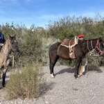 Photo taken by Graciela P