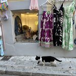 Photo taken by Sakura I