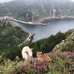 Hike near San Sebastian | Photo taken by Amelia B