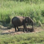 Photo taken by Randall C