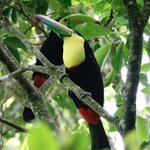 Photo taken by Joyce C