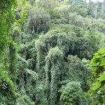 Photo taken by Mark B