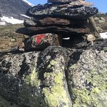 Just follow the "T" just follow the "T" | Photo taken by florence P